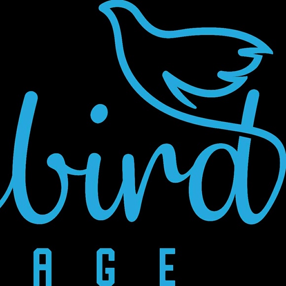 bluebirdvintage